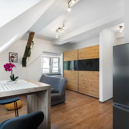 Charming 1-bedroom Loft In Siska District 卢布尔雅那