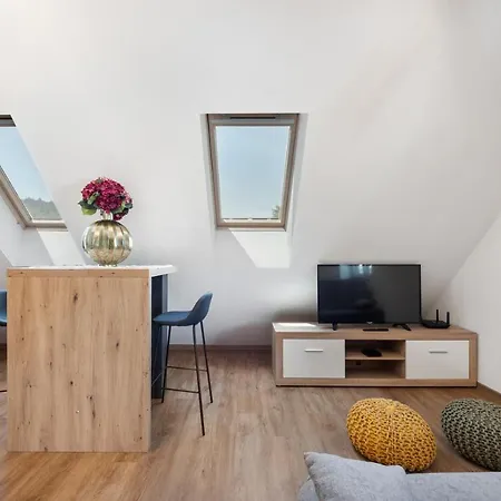 公寓 Charming 1-bedroom Loft In Siska District 卢布尔雅那