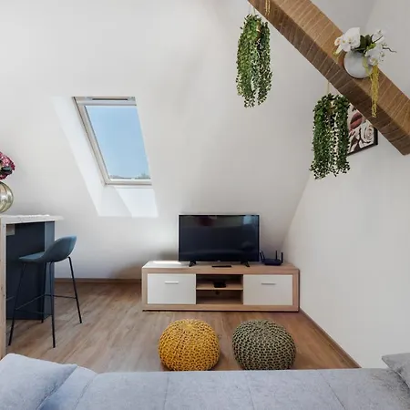 Charming 1-bedroom Loft In Siska District * 卢布尔雅那